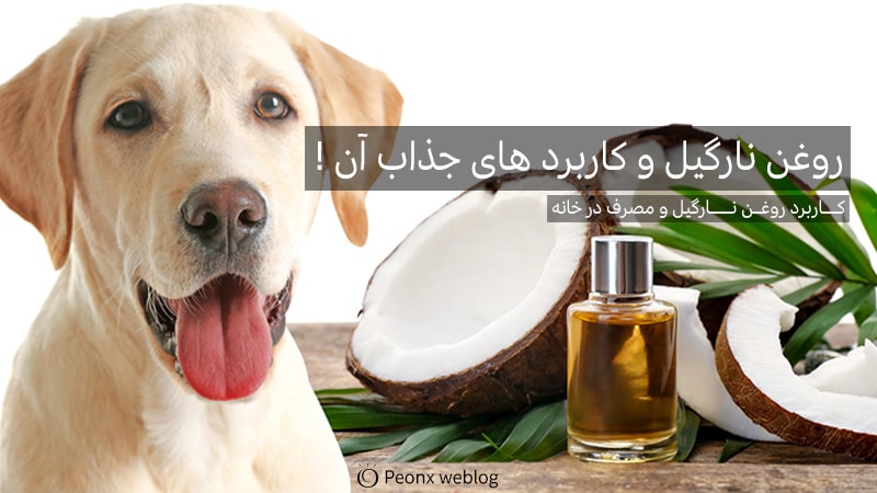 با-روغن-نارگیل-چه-کار-های-میتوان-کرد؟