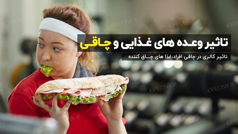 تاثیر وعده غذایی و چاقی