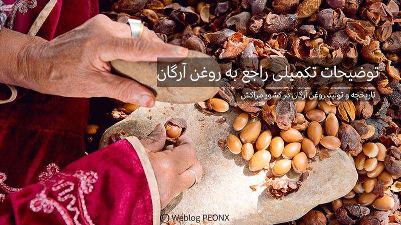 هسته میوه ارگان