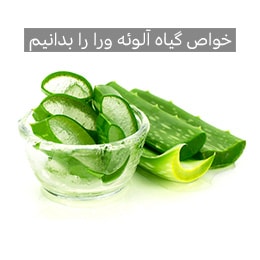صفر تا صد گیاه آلوئه ورا