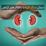 دلیل سنگ کلیه چیست و چطور آن را دفع کنیم؟ 1