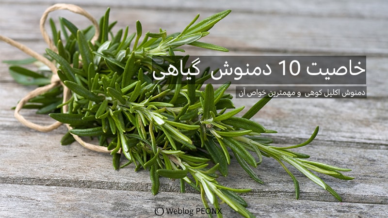 دمنوش اکلیل کوهی Rosmarinus officinalis دمنوش اکلیل کوهی Rosmarinus officinalis