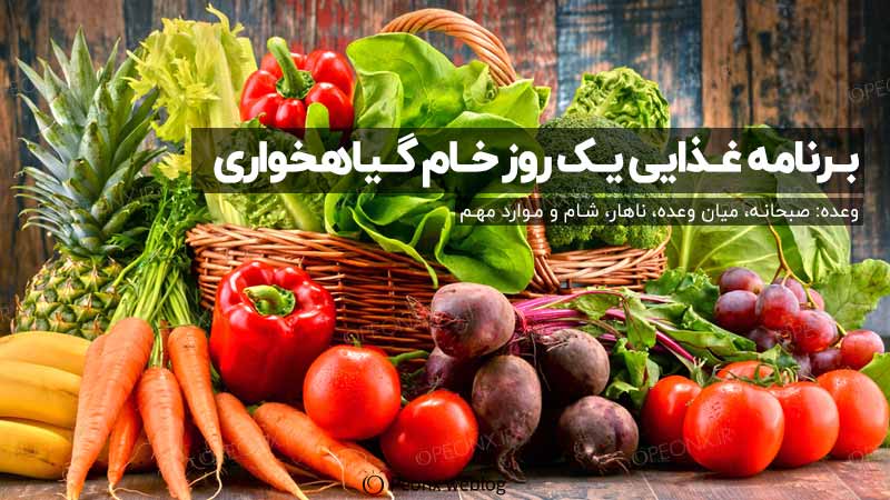 برنامه غذایی یک روز کامل خام گیاهخواری
